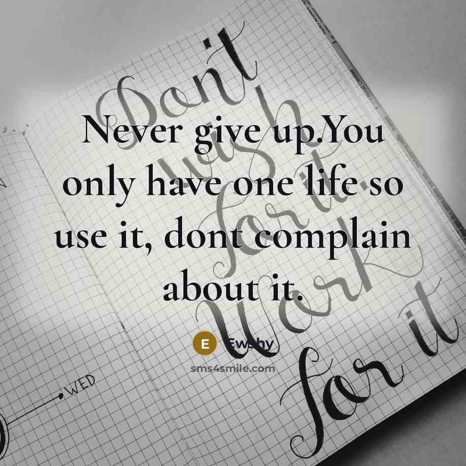 “Never give up.You only have one life so use it, dont complain about it.” quote by Ewshy