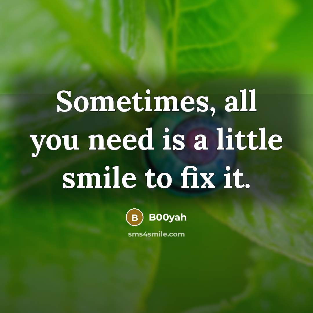 “Sometimes, all you need is a little smile to fix it.” quote by B00yah