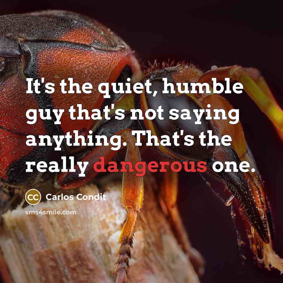 “It's the quiet, humble guy that's not saying anything. That's the really dangerous one.” quote by Carlos Condit