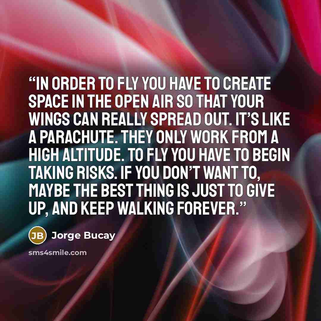 “In order to fly you have to create space in the open air so that your wings can really spread out. It’s like a parachute. They only work from a high altitude. To fly you have to begin taking risks. If you don’t want to, maybe the best thing is just to give up, and keep walking forever.” quote by Jorge Bucay