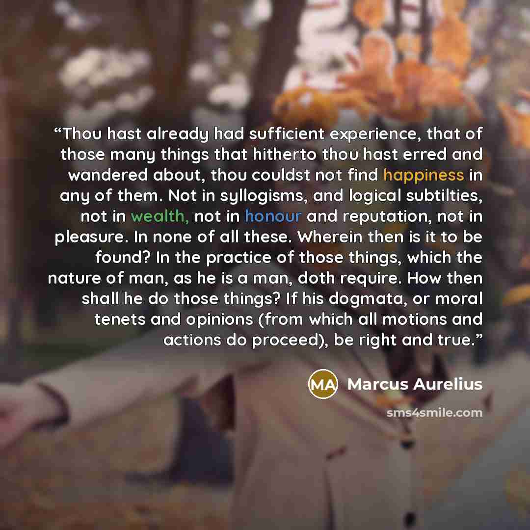 “Thou hast already had sufficient experience, that of those many things that hitherto thou hast erred and wandered about, thou couldst not find happiness in any of them. Not in syllogisms, and logical subtilties, not in wealth, not in honour and reputation, not in pleasure. In none of all these…” quote by Marcus Aurelius