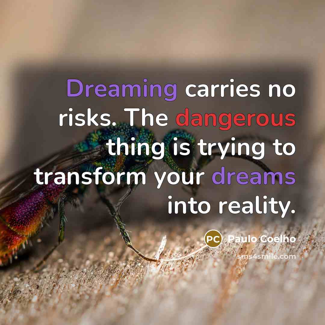 “Dreaming carries no risks. The dangerous thing is trying to transform your dreams into reality.” quote by Paulo Coelho