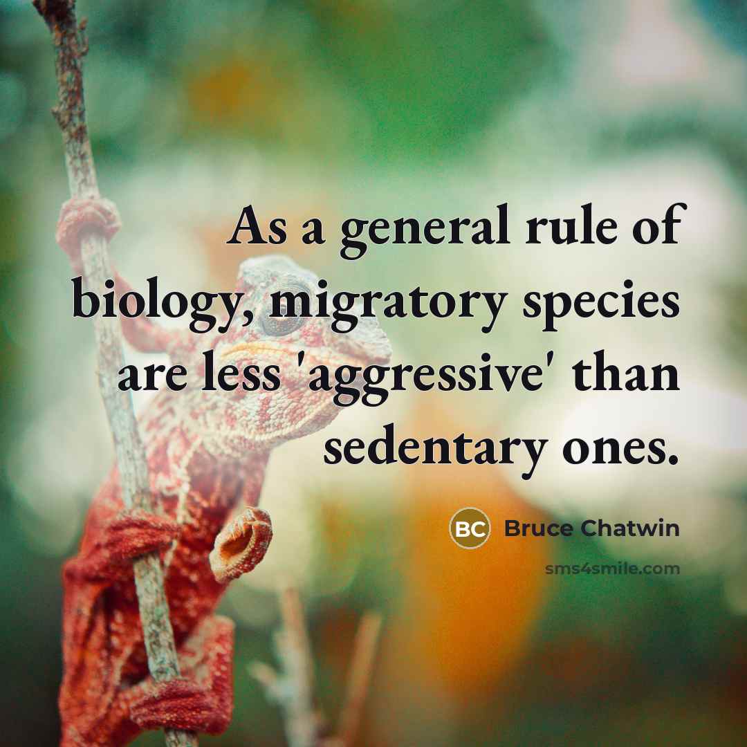 “As a general rule of biology, migratory species are less 'aggressive' than sedentary ones.” quote by Bruce Chatwin