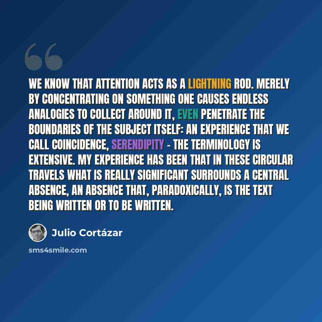 “We know that attention acts as a lightning rod. Merely by concentrating on something one causes endless analogies to collect around it, even penetrate the boundaries of the subject itself: an experience that we call coincidence, serendipity – the terminology is extensive. My experience has been…” quote by Julio Cortazar