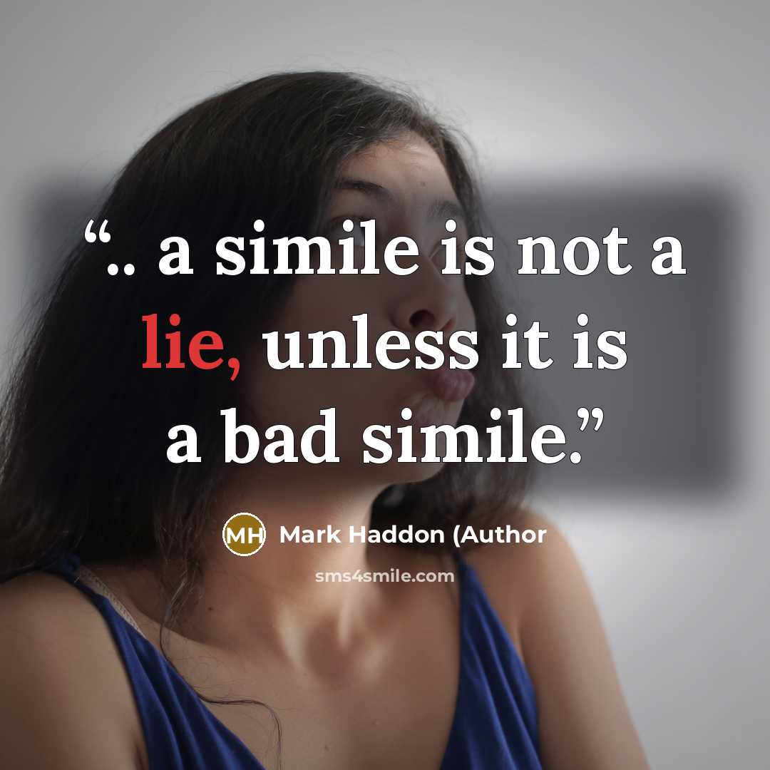 “.. a simile is not a lie, unless it is a bad simile.” quote by Mark Haddon (Author