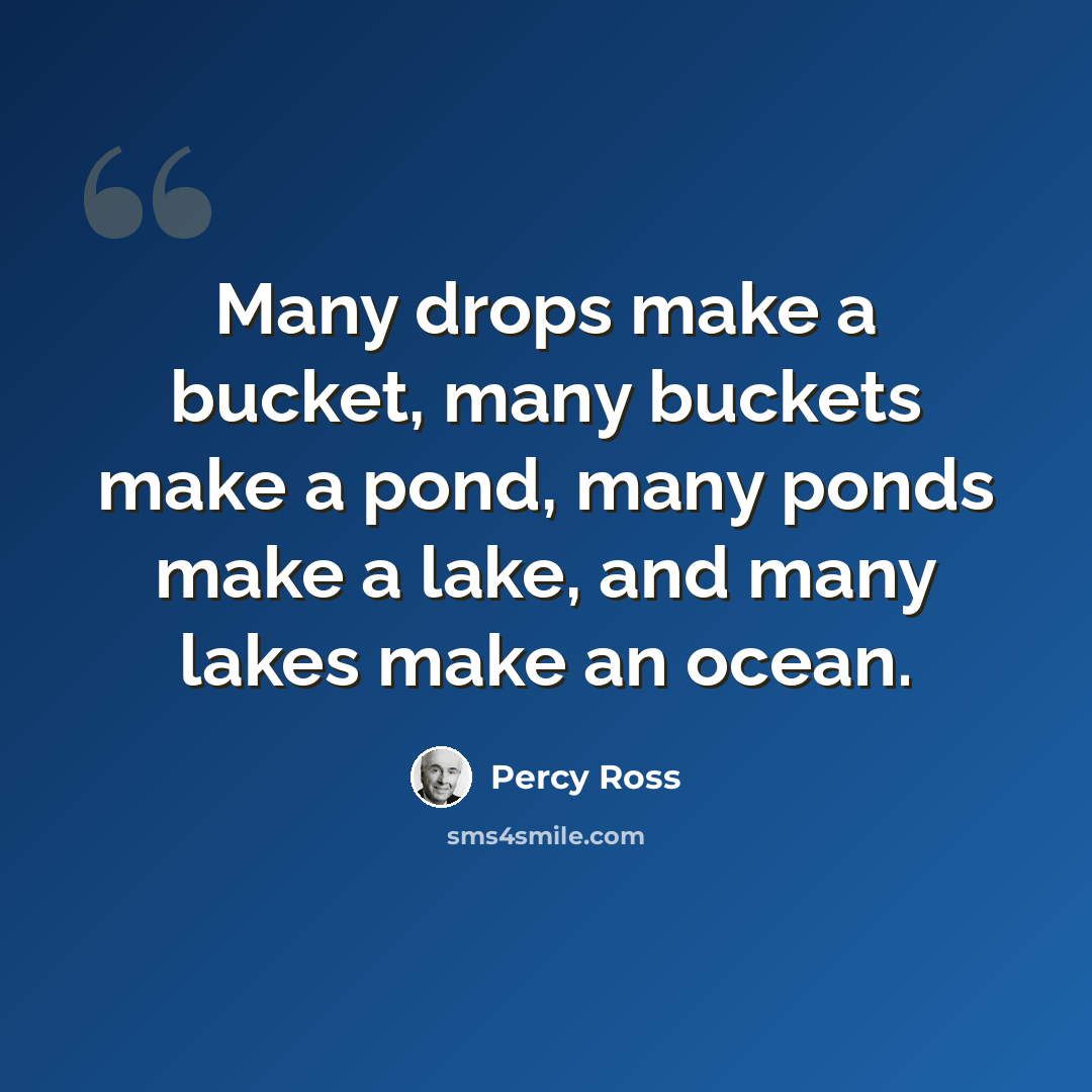 “Many drops make a bucket, many buckets make a pond, many ponds make a lake, and many lakes make an ocean.” quote by Percy Ross