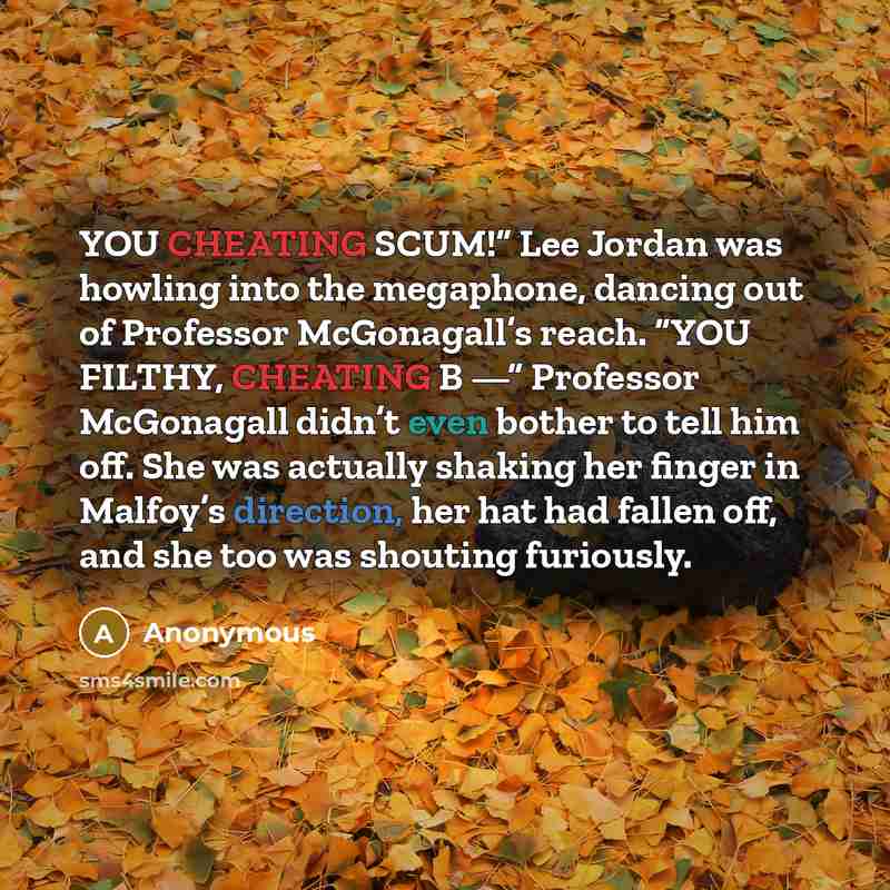 “YOU CHEATING SCUM!” Lee Jordan was howling into the megaphone, dancing out of Professor McGonagall’s reach. “YOU FILTHY, CHEATING B —” Professor McGonagall didn’t even bother to tell him off. She was actually shaking her finger in Malfoy’s direction, her hat had fallen off, and she too was…” quote by Anonymous