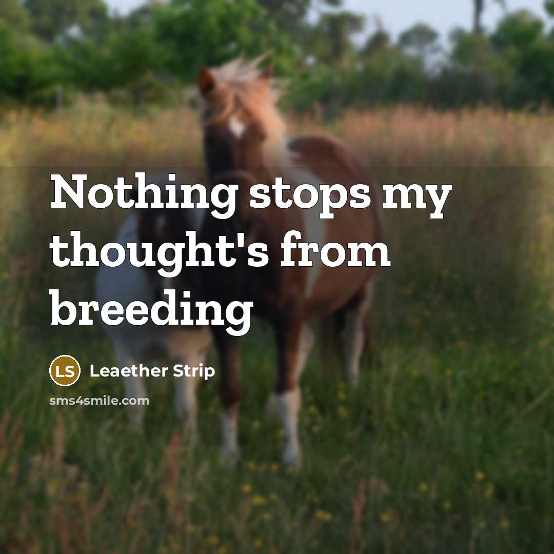 “Nothing stops my thought's from breeding” quote by Leaether Strip