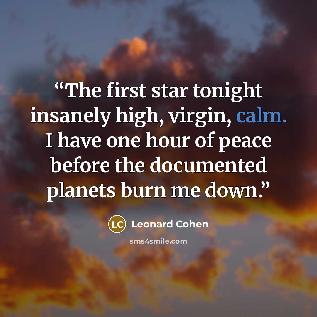 “The first star tonight insanely high, virgin, calm. I have one hour of peace before the documented planets burn me down.” quote by Leonard Cohen