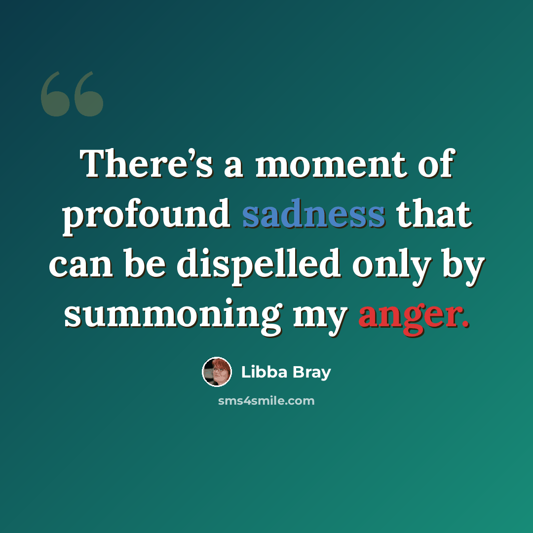 “There’s a moment of profound sadness that can be dispelled only by summoning my anger.” quote by Libba Bray