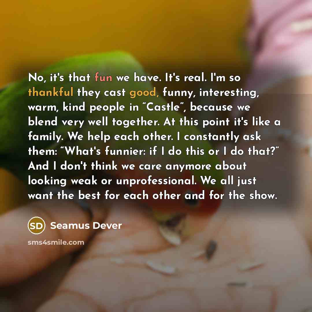 “No, it's that fun we have. It's real. I'm so thankful they cast good, funny, interesting, warm, kind people in “Castle”, because we blend very well together. At this point it's like a family. We help each other. I constantly ask them: “What's funnier: if I do this or I do that?” And I don't think…” quote by Seamus Dever