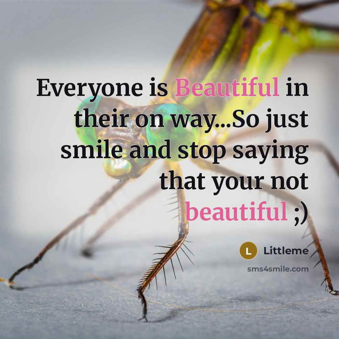 “Everyone is Beautiful in their on way...So just smile and stop saying that your not beautiful ;)” quote by Littleme