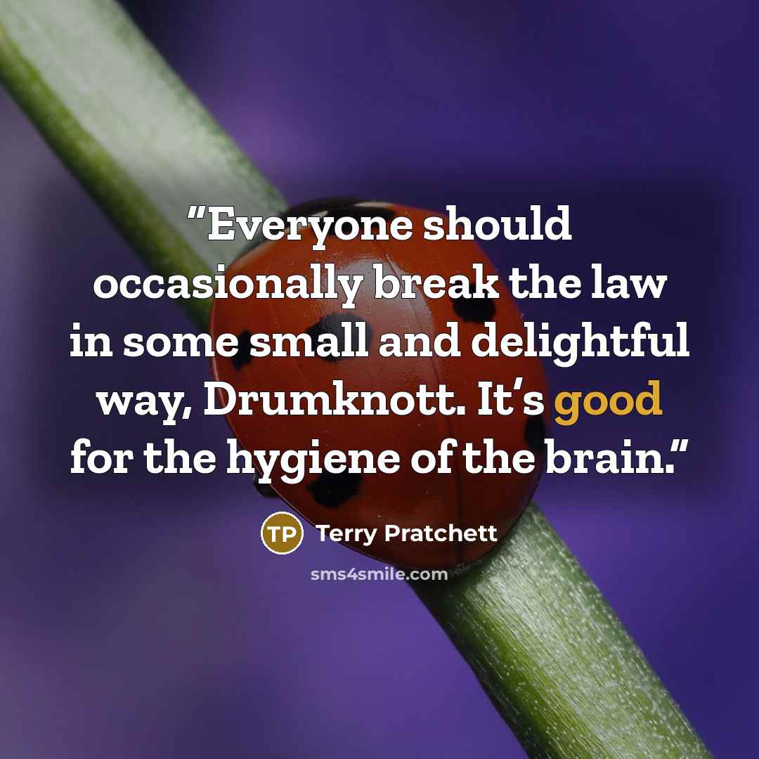“Everyone should occasionally break the law in some small and delightful way, Drumknott. It’s good for the hygiene of the brain.” quote by Terry Pratchett