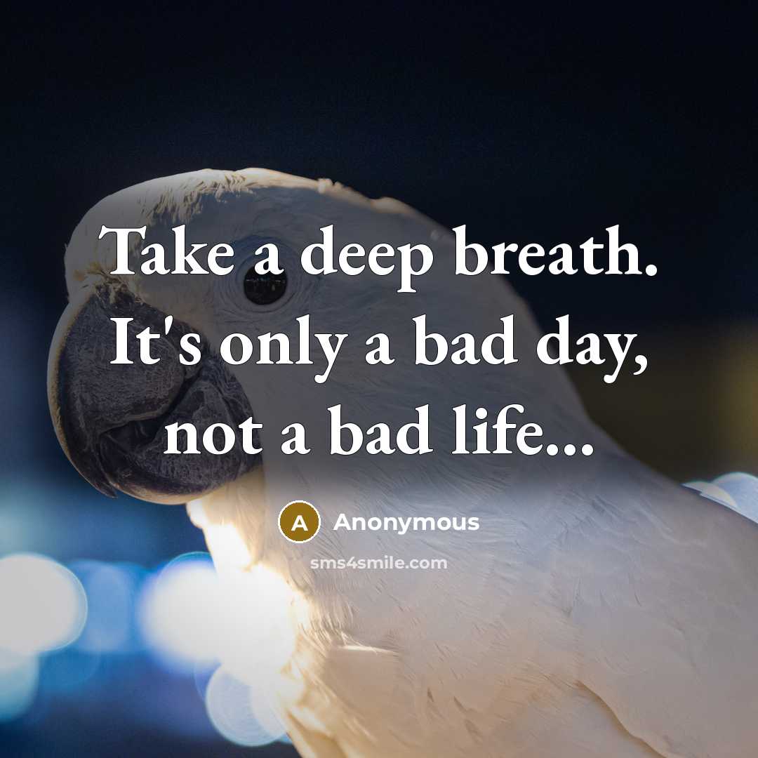 “Take a deep breath. It's only a bad day, not a bad life...” quote by Anonymous