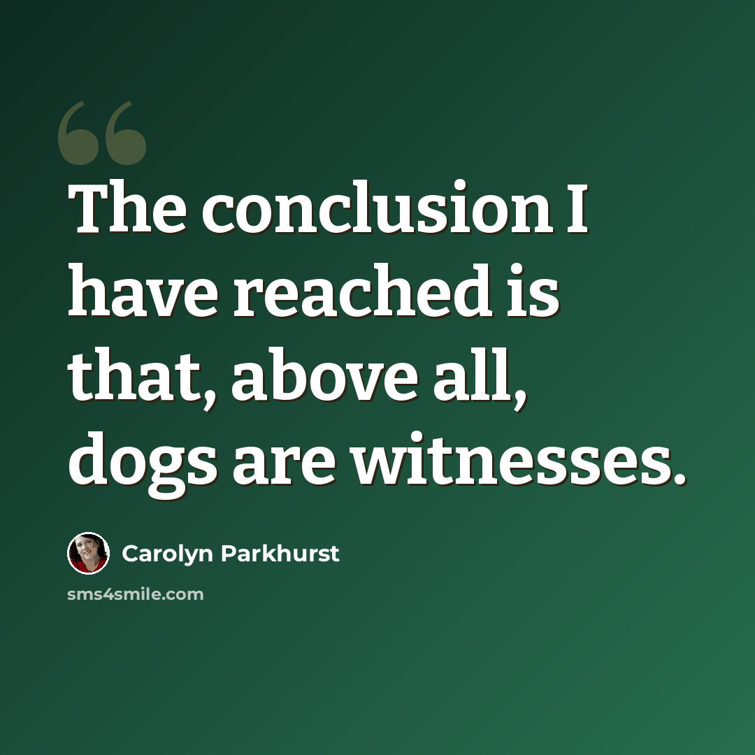 “The conclusion I have reached is that, above all, dogs are witnesses.” quote by Carolyn Parkhurst