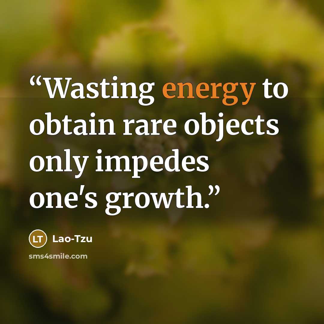 “Wasting energy to obtain rare objects only impedes one's growth.” quote by Lao-Tzu