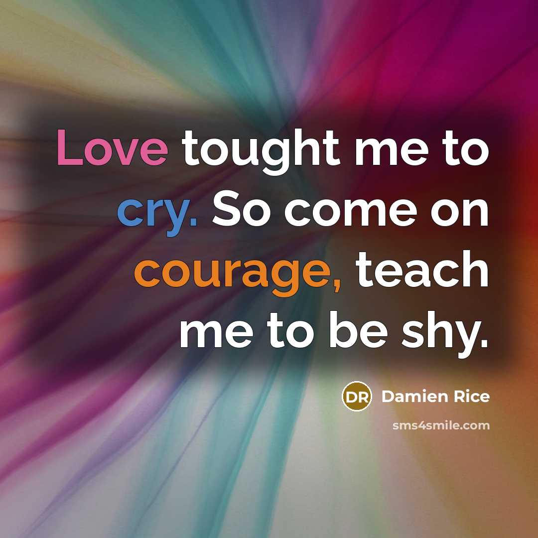 “Love tought me to cry. So come on courage, teach me to be shy.” quote by Damien Rice