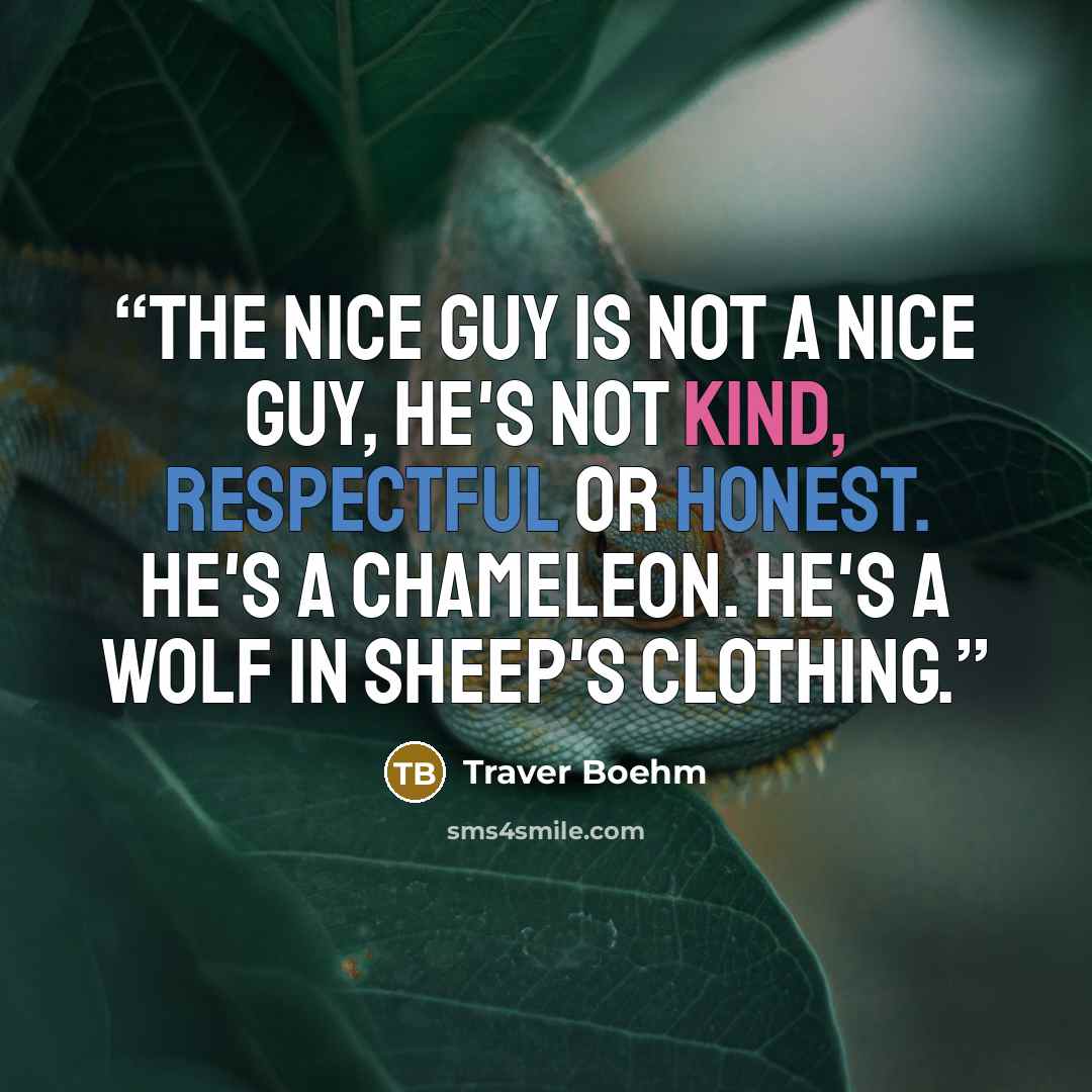 “The Nice Guy is not a nice guy, he's not kind, respectful or honest. He's a chameleon. He's a wolf in sheep's clothing.” quote by Traver Boehm