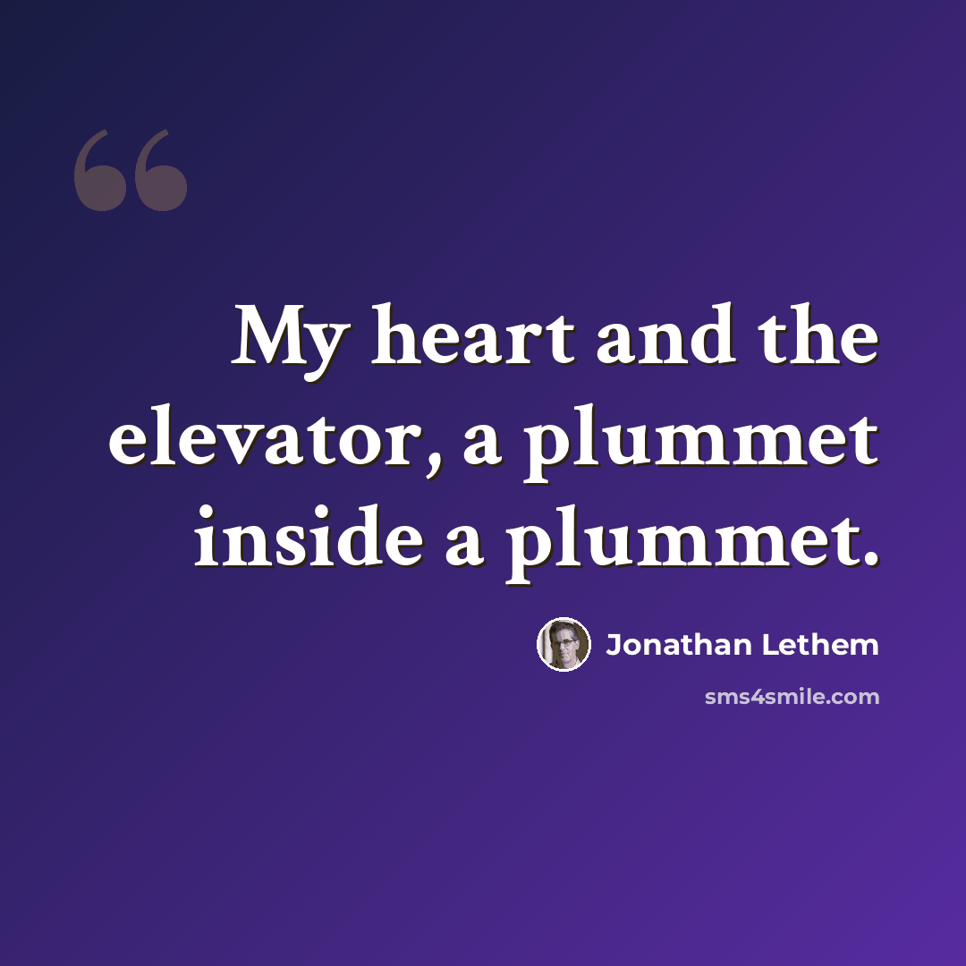 “My heart and the elevator, a plummet inside a plummet.” quote by Jonathan Lethem
