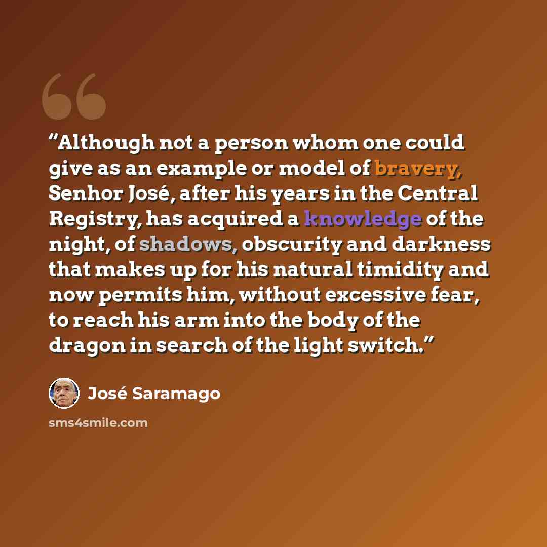 “Although not a person whom one could give as an example or model of bravery, Senhor José, after his years in the Central Registry, has acquired a knowledge of the night, of shadows, obscurity and darkness that makes up for his natural timidity and now permits him, without excessive fear, to reach…” quote by José Saramago