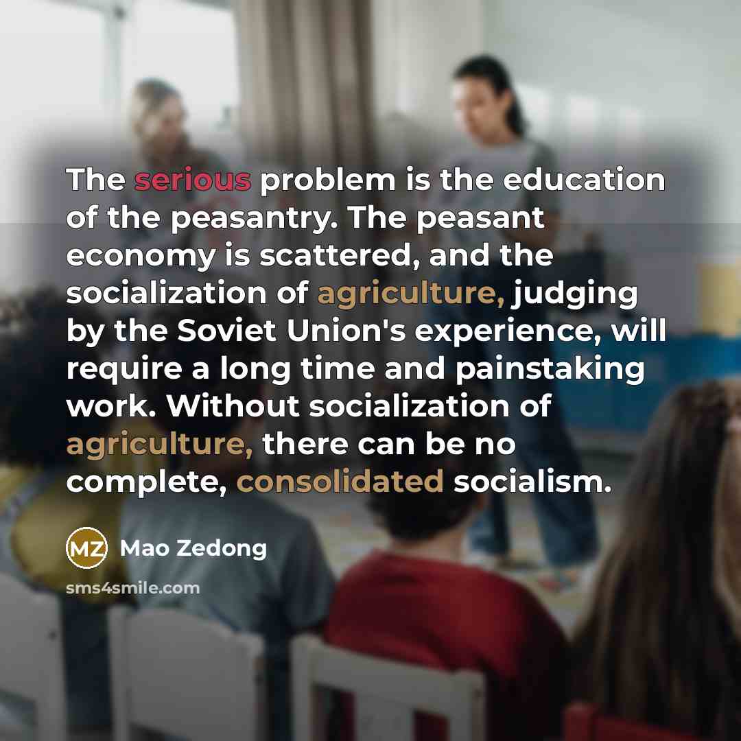 “The serious problem is the education of the peasantry. The peasant economy is scattered, and the socialization of agriculture, judging by the Soviet Union's experience, will require a long time and painstaking work. Without socialization of agriculture, there can be no complete, consolidated…” quote by Mao Zedong