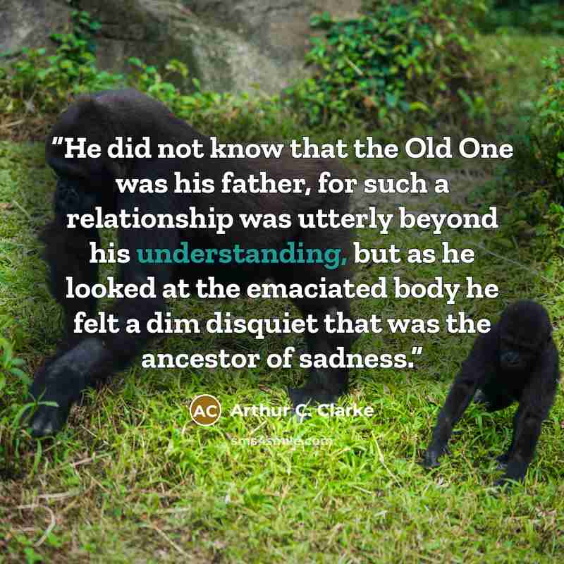 “He did not know that the Old One was his father, for such a relationship was utterly beyond his understanding, but as he looked at the emaciated body he felt a dim disquiet that was the ancestor of sadness.” quote by Arthur C. Clarke