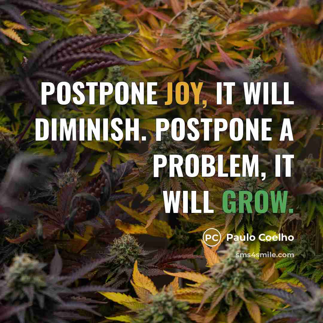 “Postpone joy, it will diminish. Postpone a problem, it will grow.” quote by Paulo Coelho