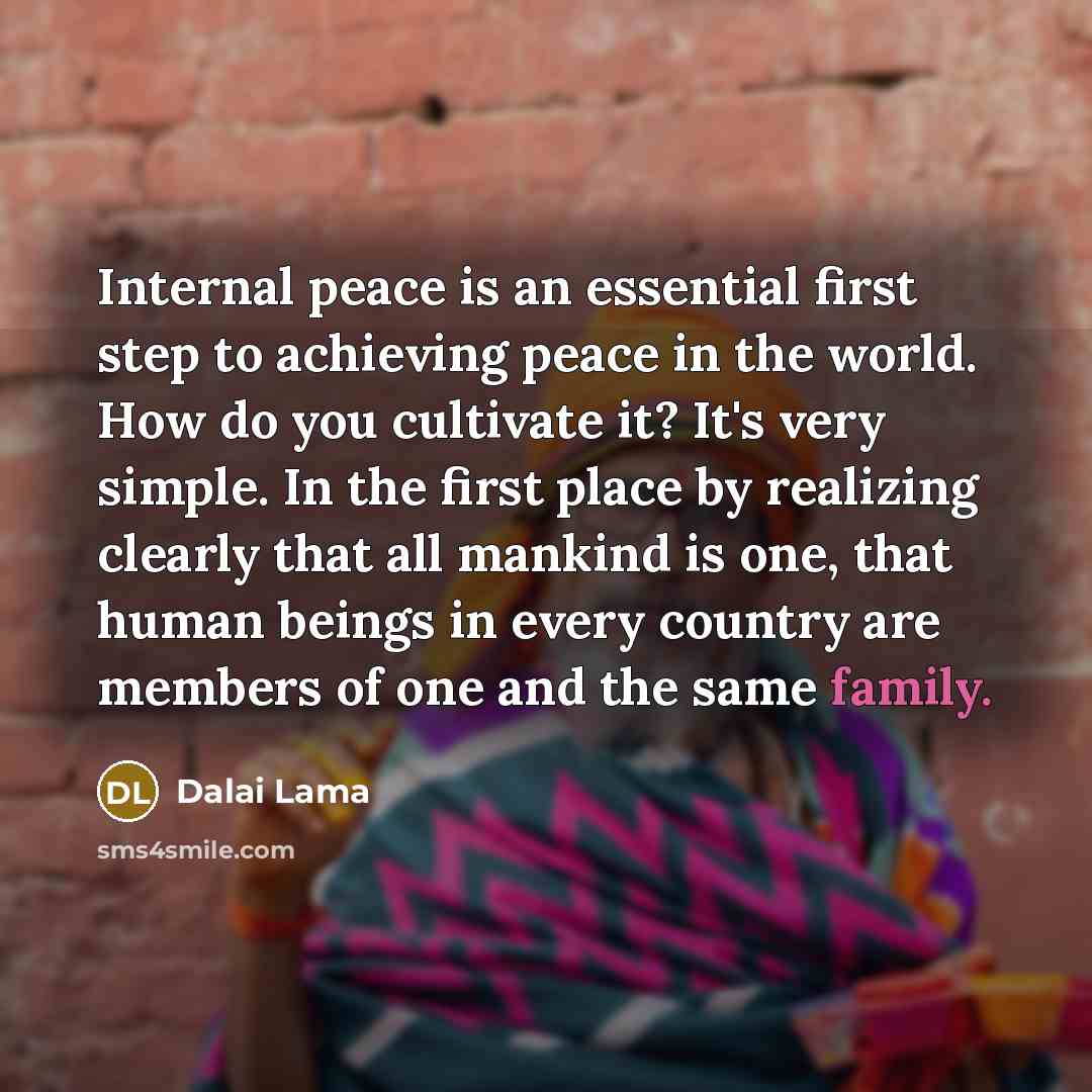 “Internal peace is an essential first step to achieving peace in the world. How do you cultivate it? It's very simple. In the first place by realizing clearly that all mankind is one, that human beings in every country are members of one and the same family.” quote by Dalai Lama
