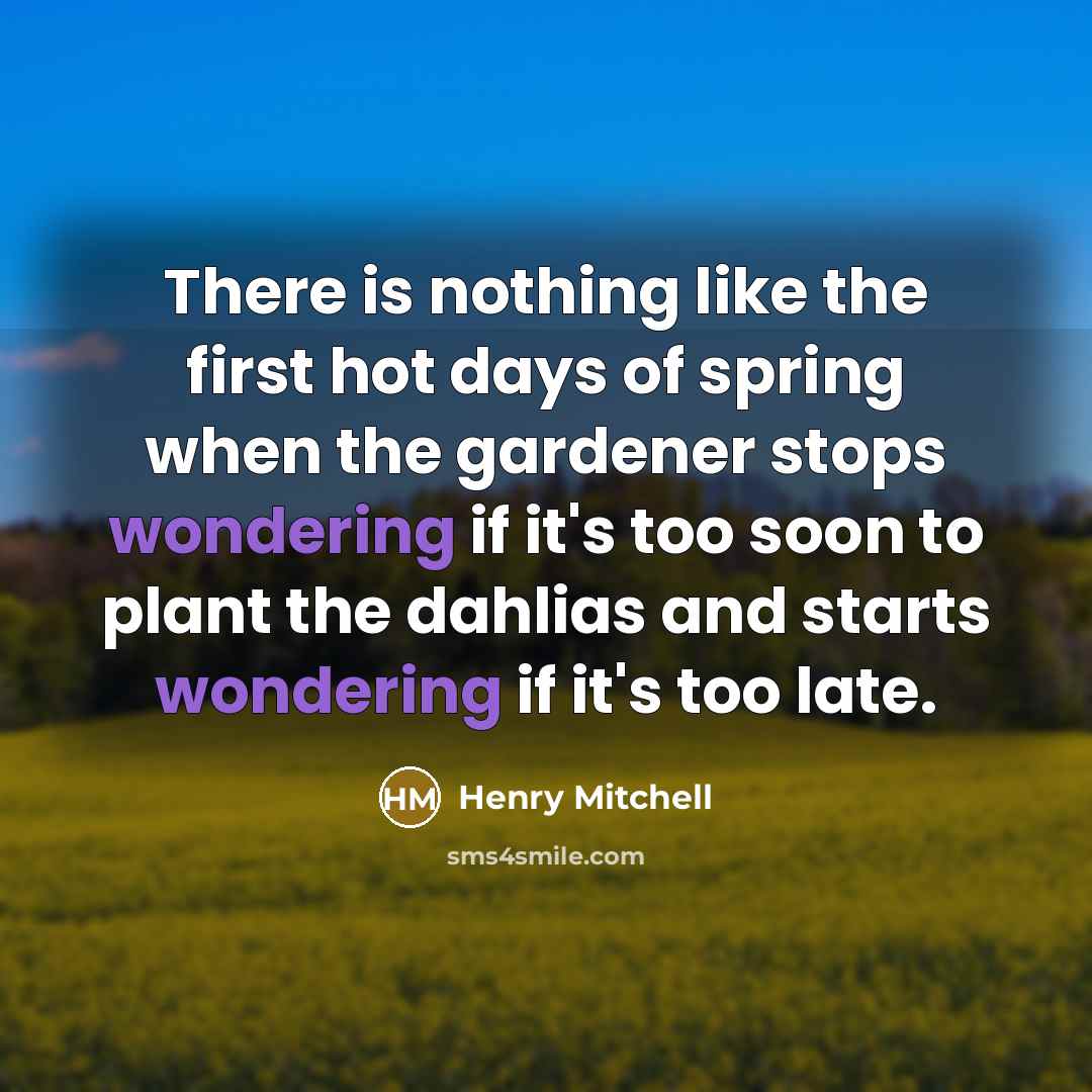 “There is nothing like the first hot days of spring when the gardener stops wondering if it's too soon to plant the dahlias and starts wondering if it's too late.” quote by Henry Mitchell