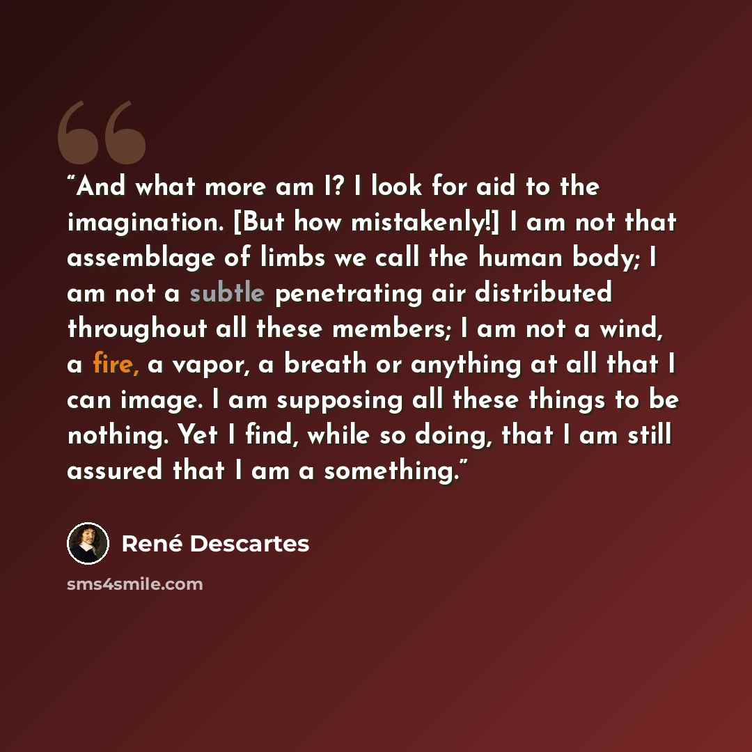“And what more am I? I look for aid to the imagination. [But how mistakenly!] I am not that assemblage of limbs we call the human body; I am not a subtle penetrating air distributed throughout all these members; I am not a wind, a fire, a vapor, a breath or anything at all that I can image. I am…” quote by René Descartes