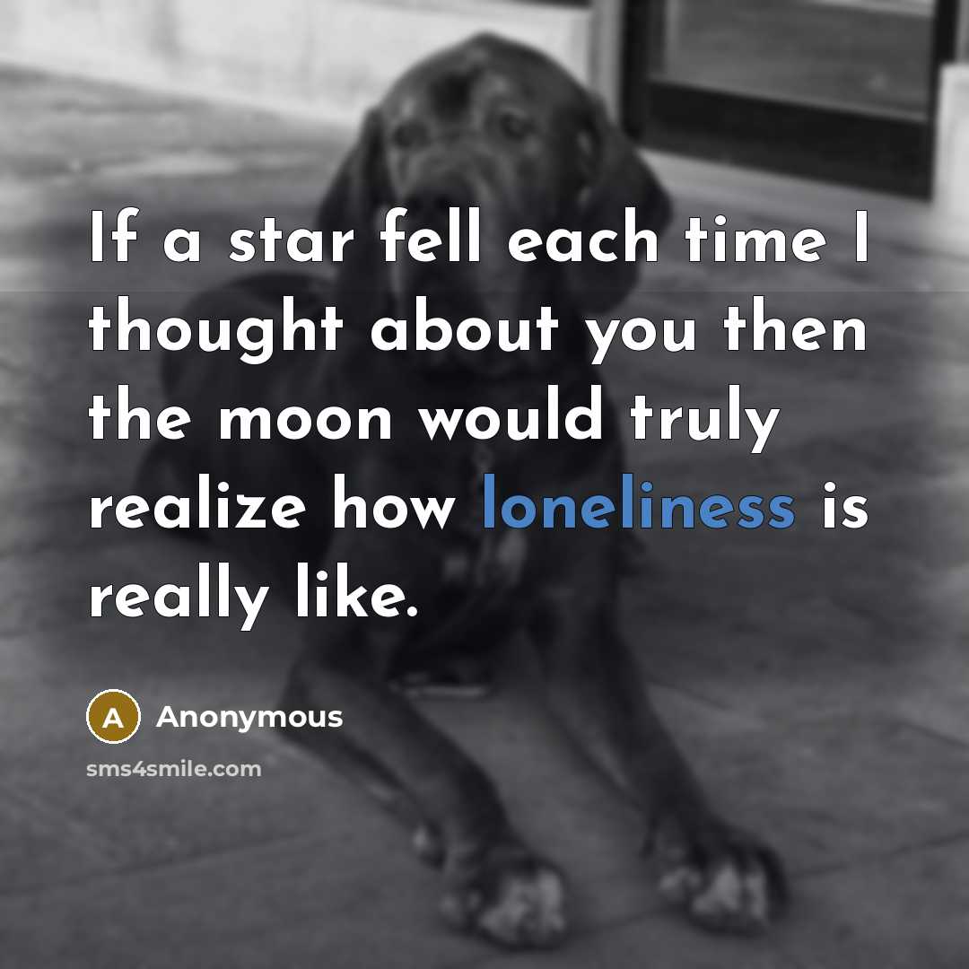 “If a star fell each time I thought about you then the moon would truly realize how loneliness is really like.” quote by Anonymous