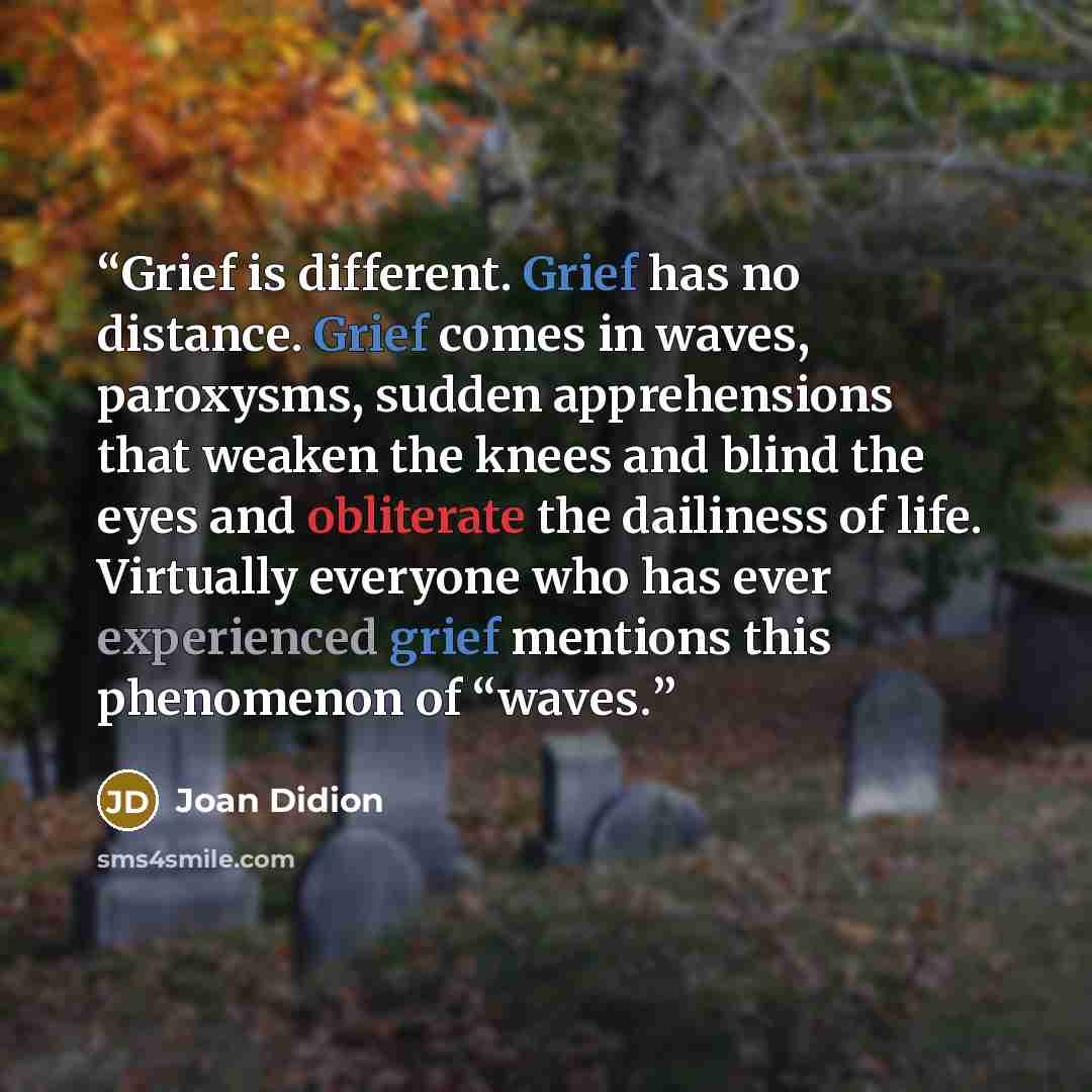 “Grief is different. Grief has no distance. Grief comes in waves, paroxysms, sudden apprehensions that weaken the knees and blind the eyes and obliterate the dailiness of life. Virtually everyone who has ever experienced grief mentions this phenomenon of “waves.” quote by Joan Didion