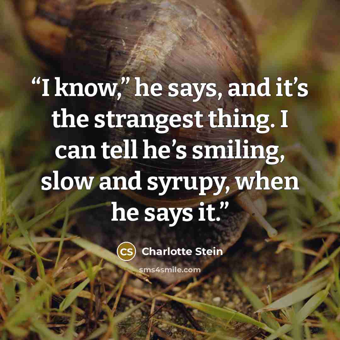 “I know,” he says, and it’s the strangest thing. I can tell he’s smiling, slow and syrupy, when he says it.” quote by Charlotte Stein