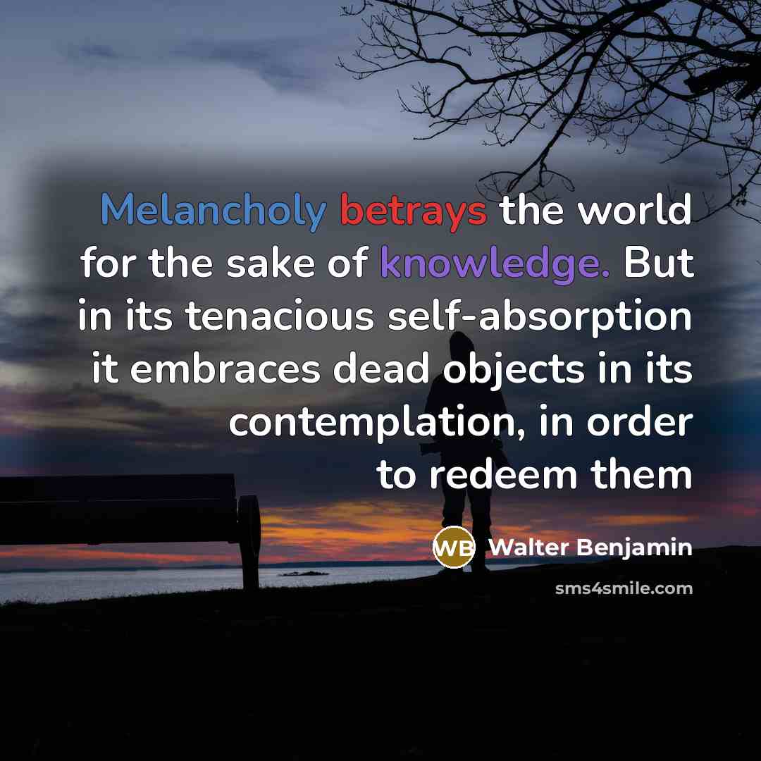 “Melancholy betrays the world for the sake of knowledge. But in its tenacious self-absorption it embraces dead objects in its contemplation, in order to redeem them” quote by Walter Benjamin