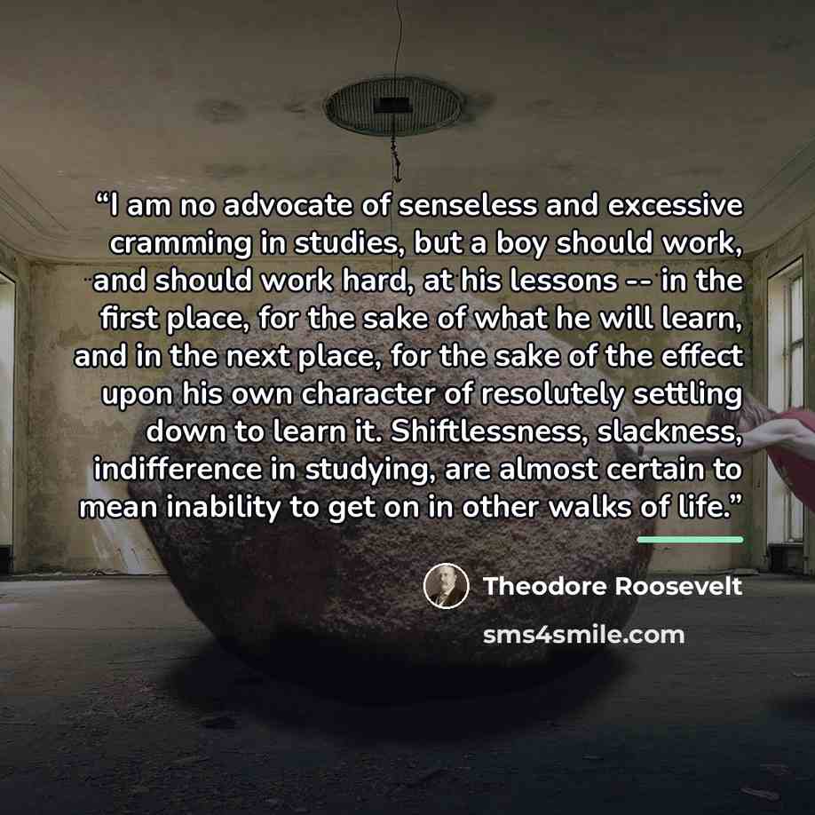 “I am no advocate of senseless and excessive cramming in studies, but a boy should work, and should work hard, at his lessons -- in the first place, for the sake of what he will learn, and in the next place, for the sake of the effect upon his own character of resolutely settling down to learn it…” quote by Theodore Roosevelt