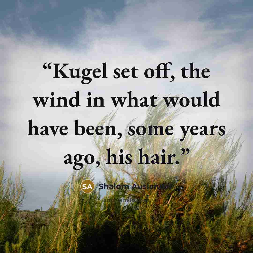 “Kugel set off, the wind in what would have been, some years ago, his hair.” quote by Shalom Auslander
