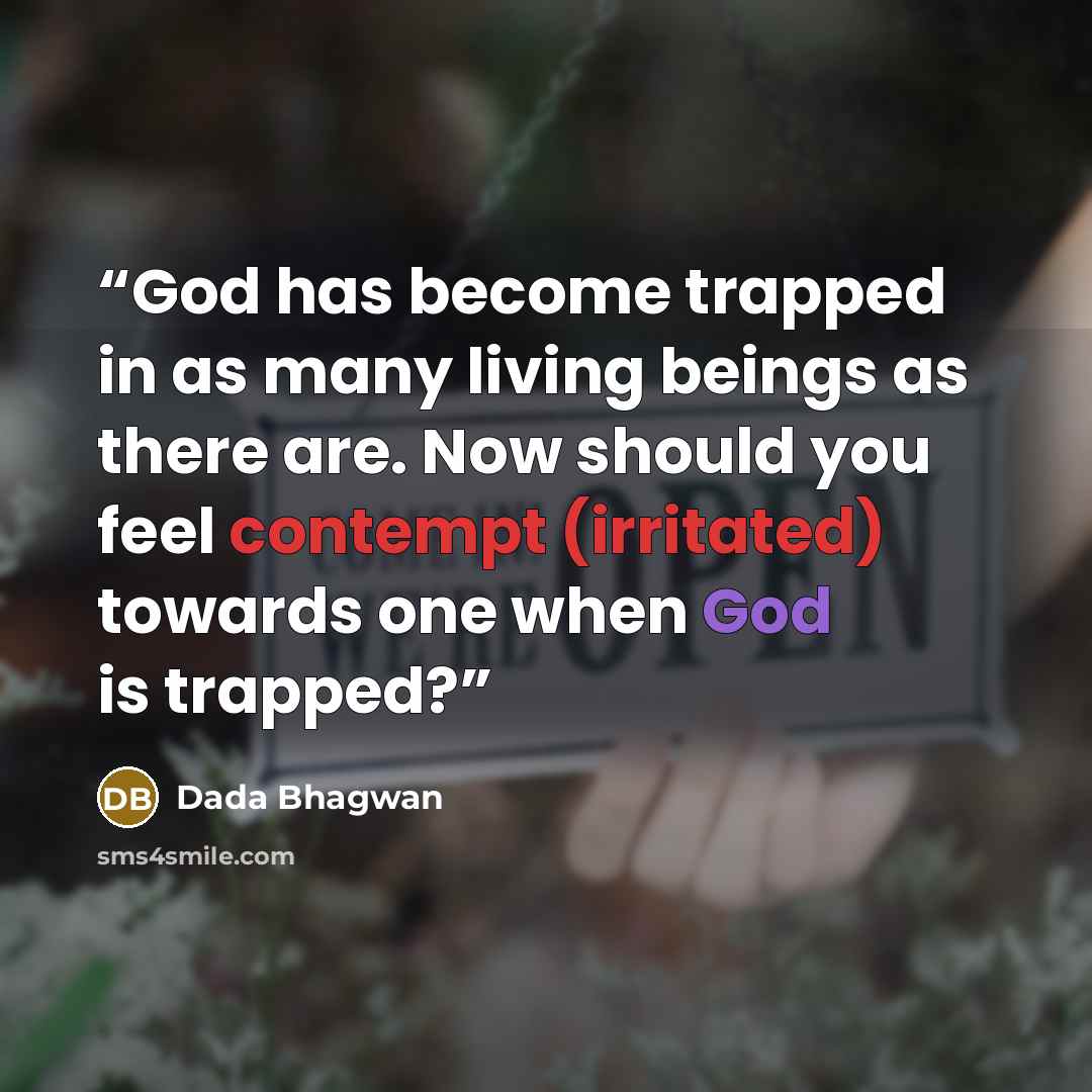 “God has become trapped in as many living beings as there are. Now should you feel contempt (irritated) towards one when God is trapped?” quote by Dada Bhagwan