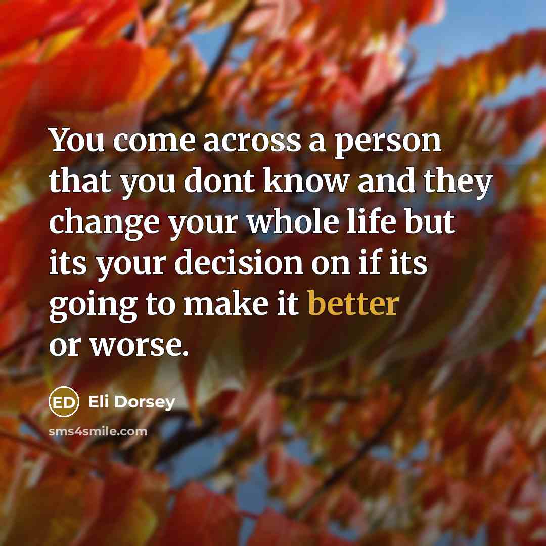 “You come across a person that you dont know and they change your whole life but its your decision on if its going to make it better or worse.” quote by Eli Dorsey