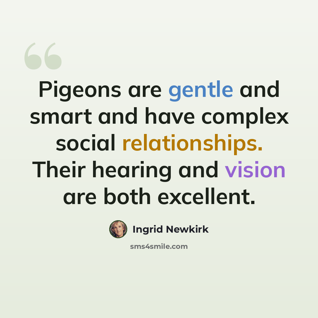 “Pigeons are gentle and smart and have complex social relationships. Their hearing and vision are both excellent.” quote by Ingrid Newkirk