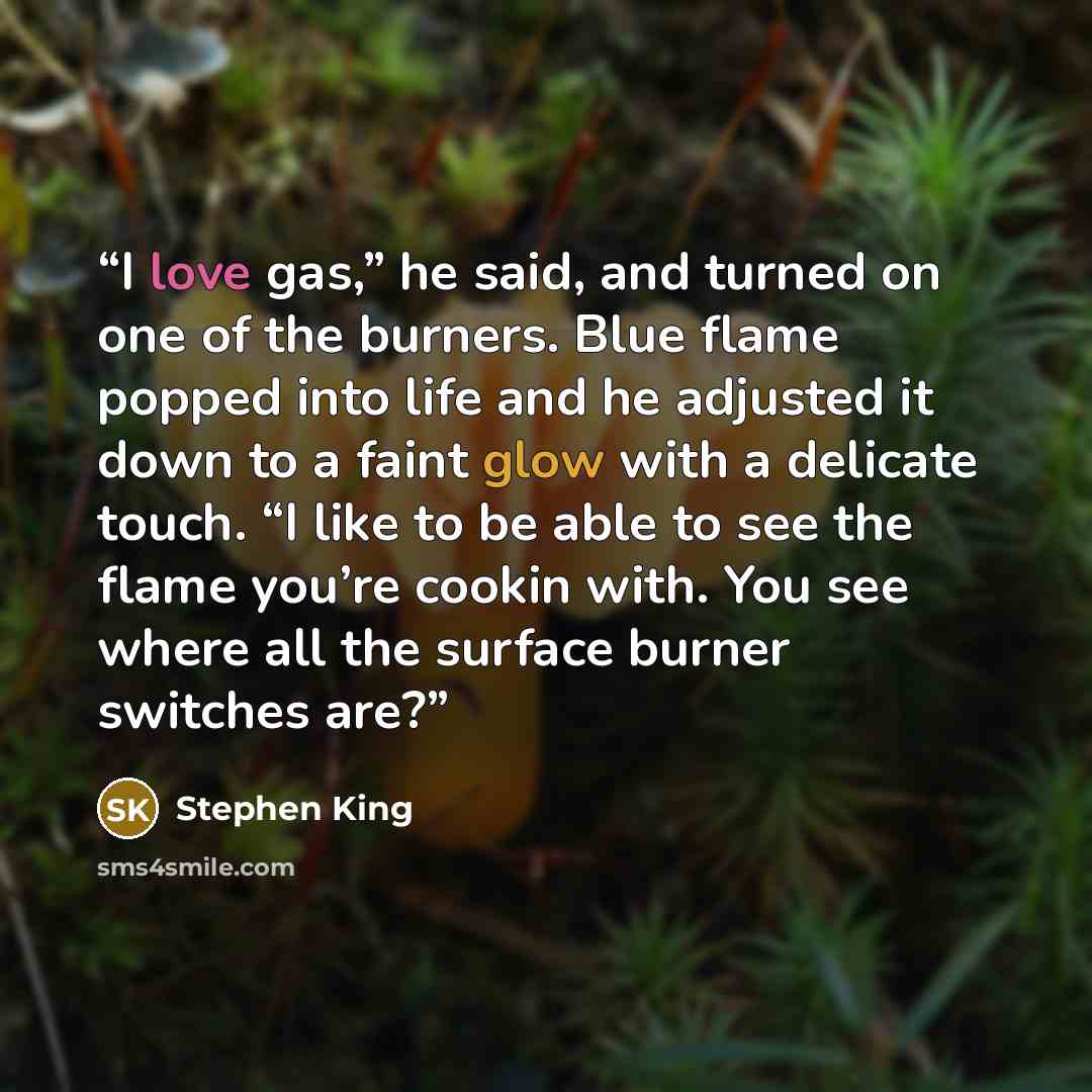 “I love gas,” he said, and turned on one of the burners. Blue flame popped into life and he adjusted it down to a faint glow with a delicate touch. “I like to be able to see the flame you’re cookin with. You see where all the surface burner switches are?” quote by Stephen King