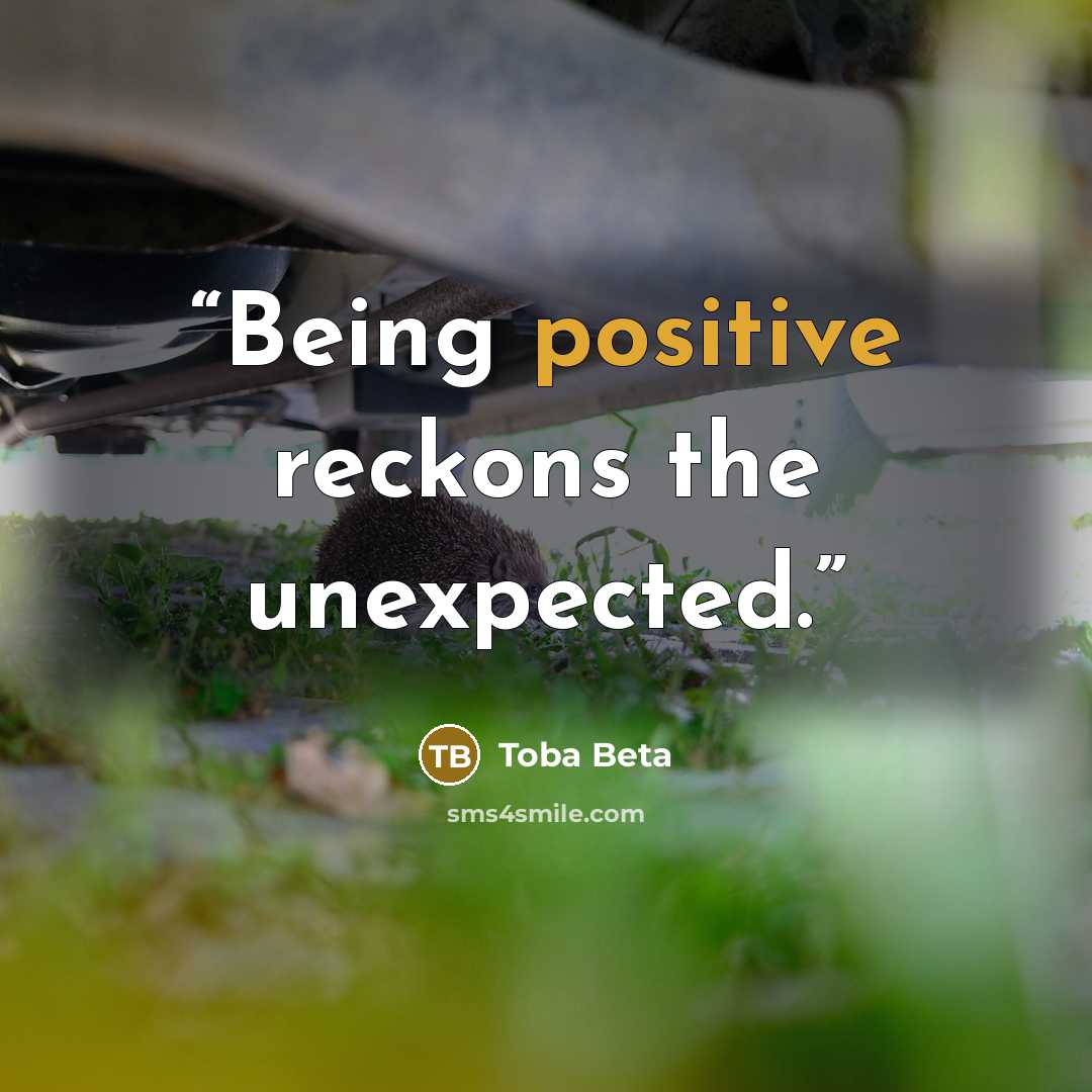 “Being positive reckons the unexpected.” quote by Toba Beta