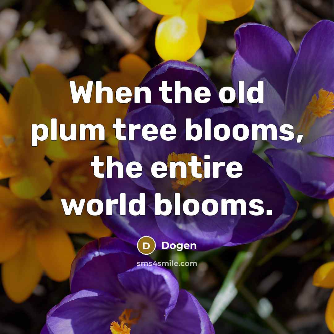 “When the old plum tree blooms, the entire world blooms.” quote by Dogen