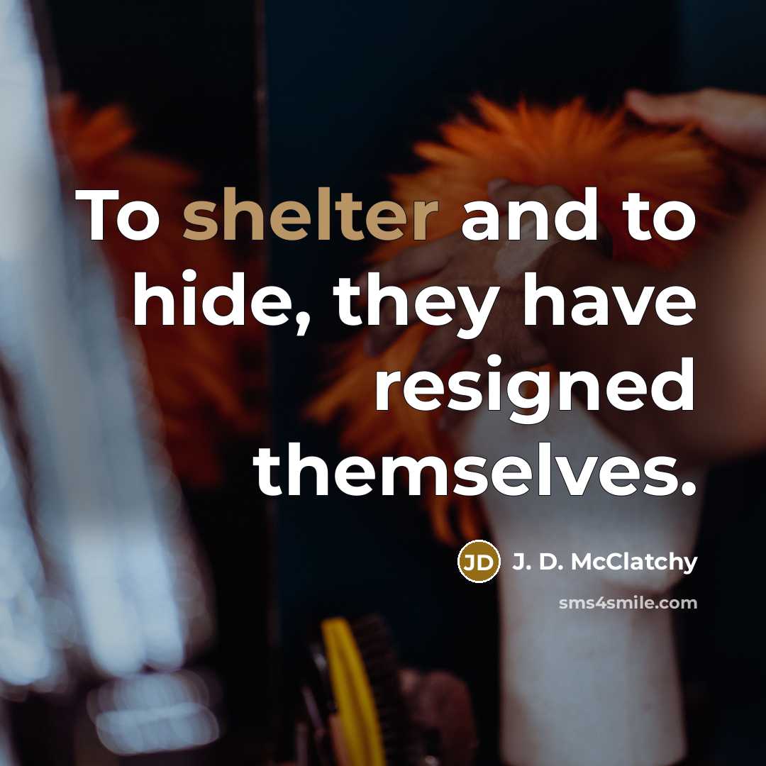 “To shelter and to hide, they have resigned themselves.” quote by J. D. McClatchy