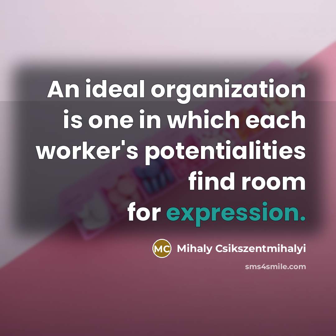 “An ideal organization is one in which each worker's potentialities find room for expression.” quote by Mihaly Csikszentmihalyi