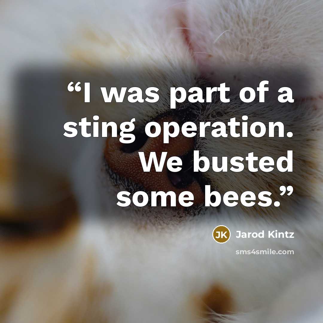 “I was part of a sting operation. We busted some bees.” quote by Jarod Kintz