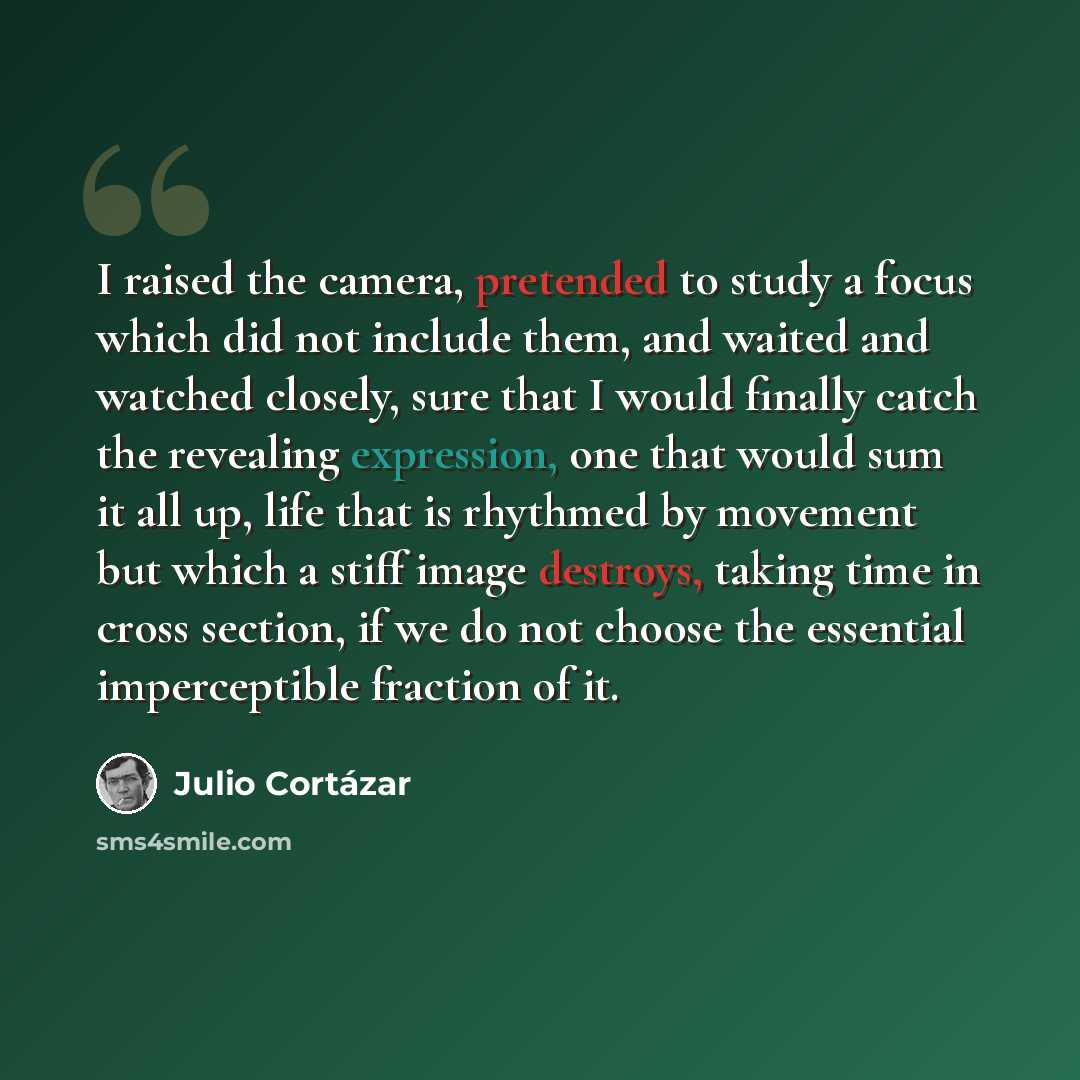 “I raised the camera, pretended to study a focus which did not include them, and waited and watched closely, sure that I would finally catch the revealing expression, one that would sum it all up, life that is rhythmed by movement but which a stiff image destroys, taking time in cross section, if…” quote by Julio Cortazar