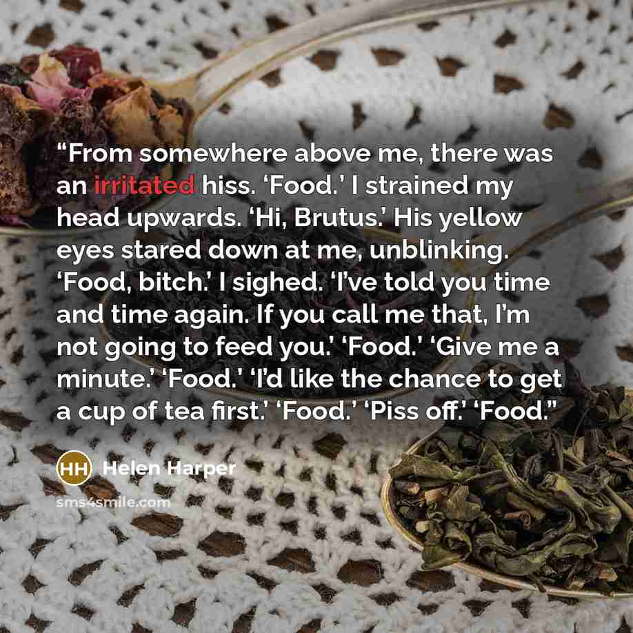 “From somewhere above me, there was an irritated hiss. ‘Food.’ I strained my head upwards. ‘Hi, Brutus.’ His yellow eyes stared down at me, unblinking. ‘Food, bitch.’ I sighed. ‘I’ve told you time and time again. If you call me that, I’m not going to feed you.’ ‘Food.’ ‘Give me a minute.’ ‘Food.’…” quote by Helen Harper