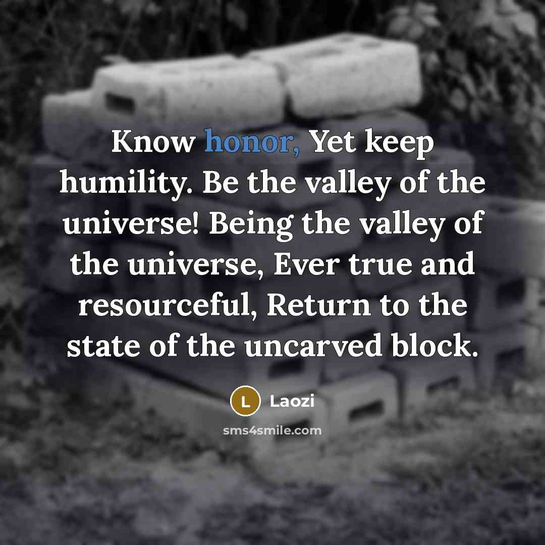 “Know honor, Yet keep humility. Be the valley of the universe! Being the valley of the universe, Ever true and resourceful, Return to the state of the uncarved block.” quote by Laozi