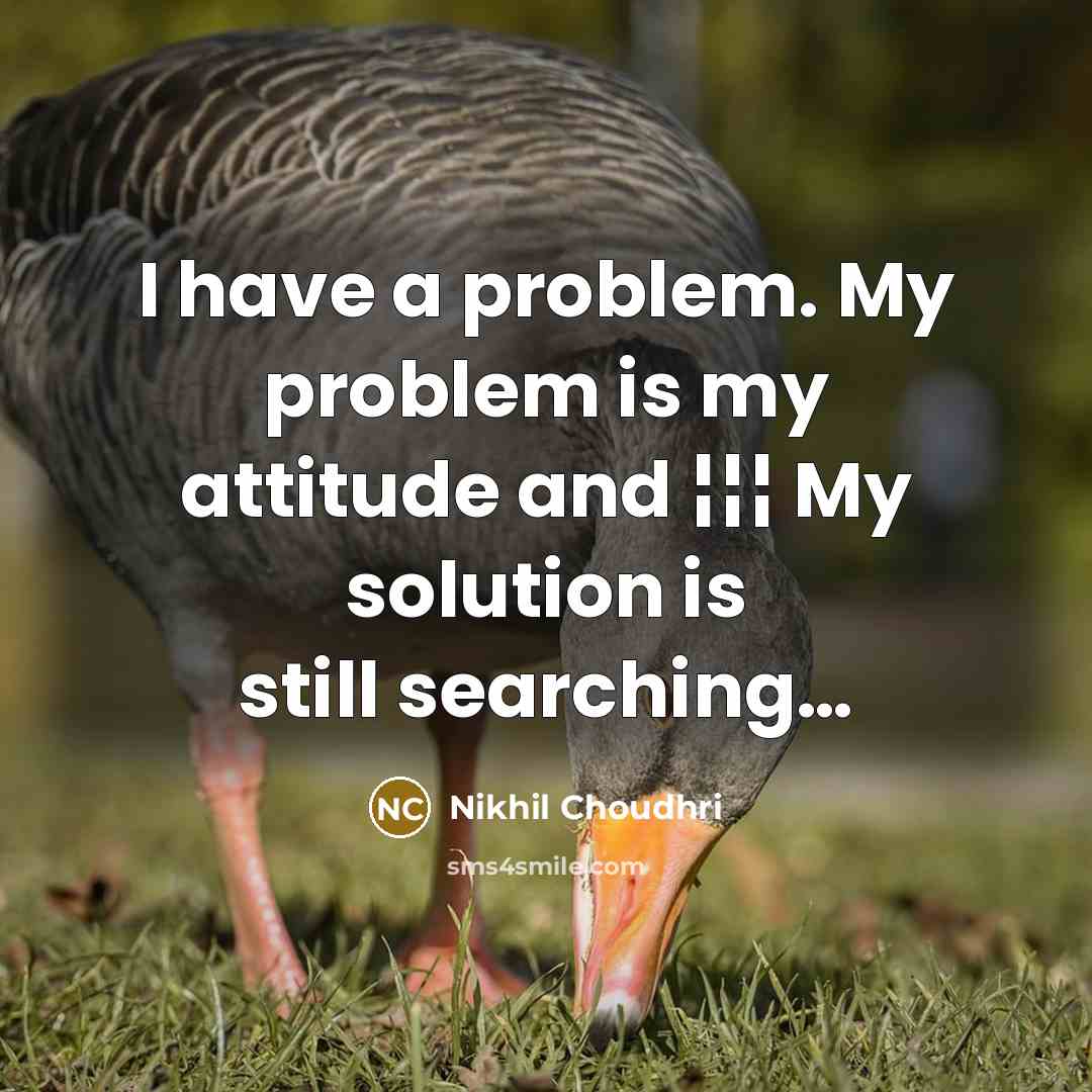 “I have a problem. My problem is my attitude and ¦¦¦ My solution is still searching…” quote by Nikhil Choudhri