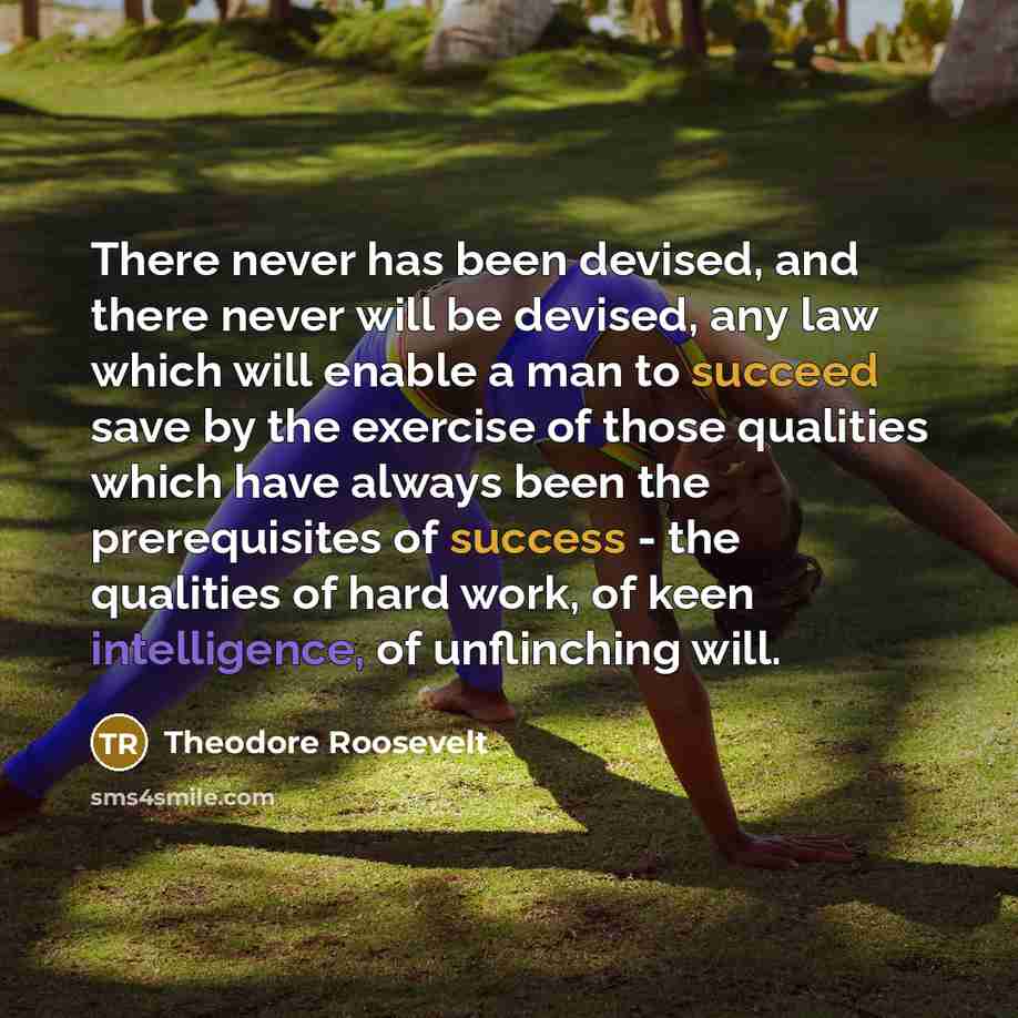 “There never has been devised, and there never will be devised, any law which will enable a man to succeed save by the exercise of those qualities which have always been the prerequisites of success - the qualities of hard work, of keen intelligence, of unflinching will.” quote by Theodore Roosevelt
